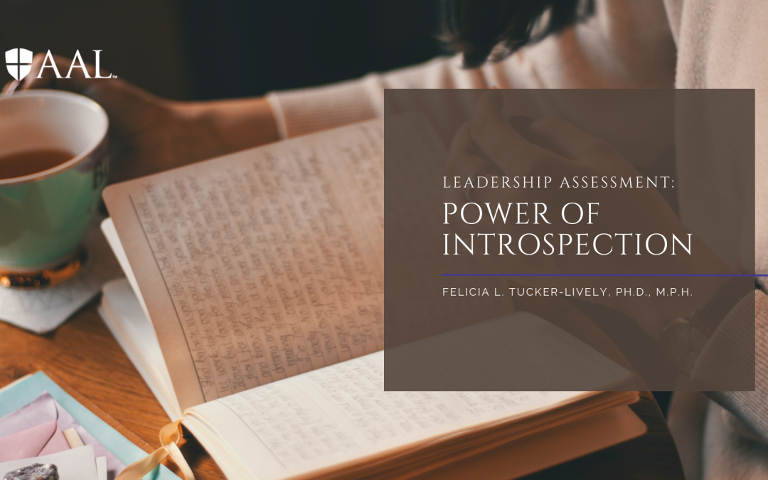 Leadership Assessment: Power of Introspection